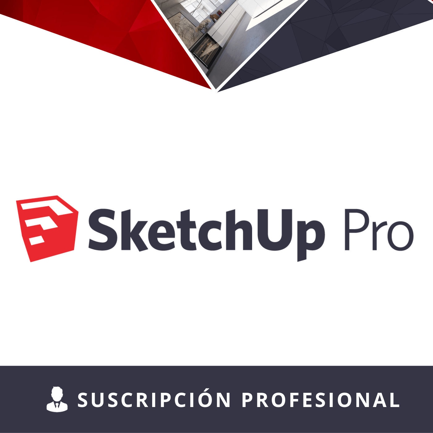 Licencia SketchUpPro por 1 año